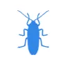 Уничтожение тараканов в Подольске